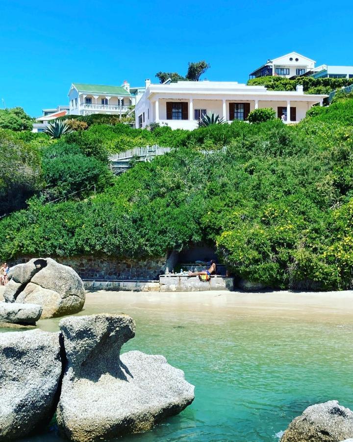 Bosky Dell On Boulders Beach Simonʼs Town Kültér fotó